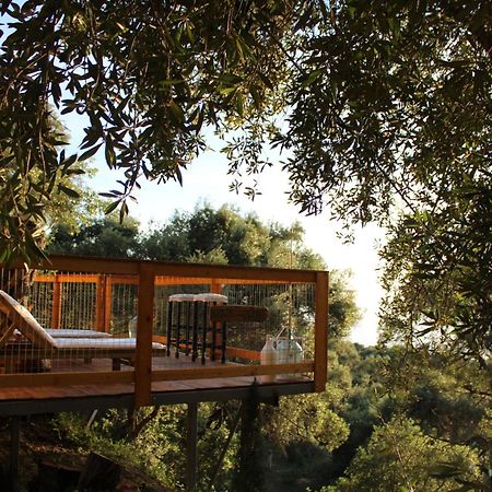 Nature Habitat Pentati Exterior photo